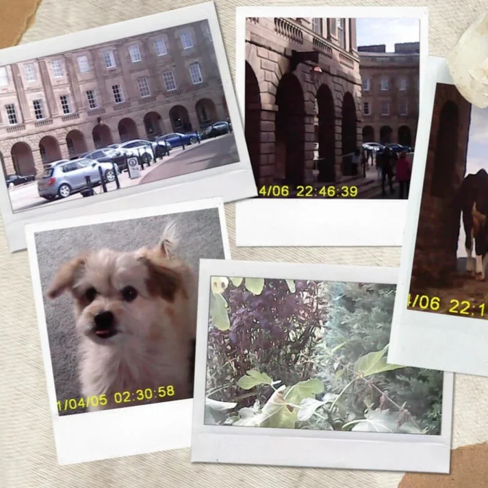Thumbnail 12